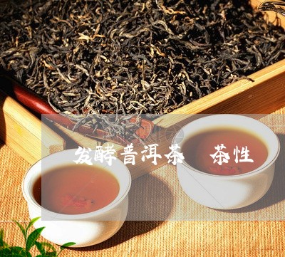 发酵普洱茶 茶性/2023041227359